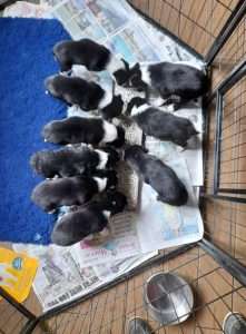 whatsapp image 2025 08 21 at 11.49.27